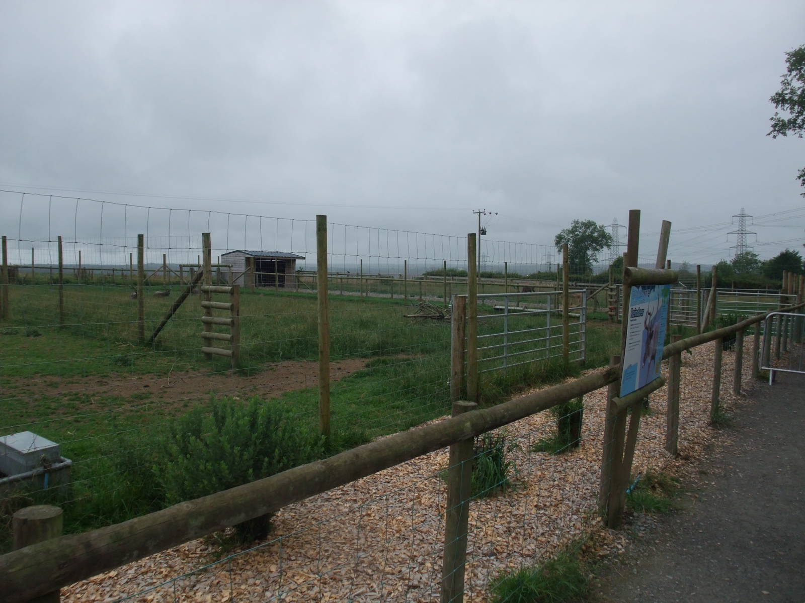 Reindeer Paddocks at Folly Farm, 01/08/11