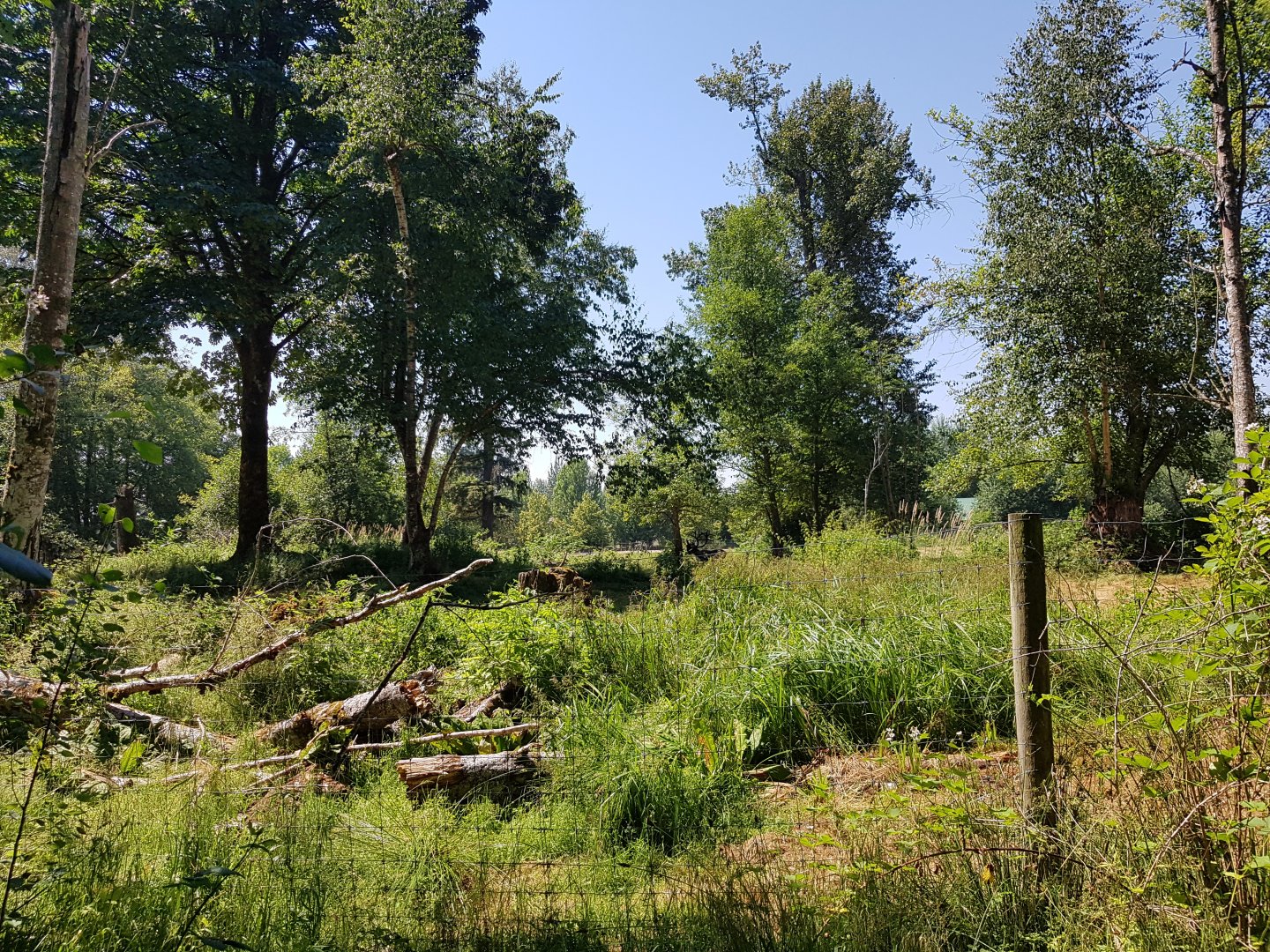 Reindeer & Snow Goose Exhibit