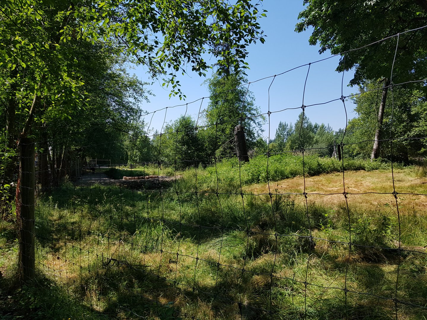 Reindeer & Snow Goose Exhibit