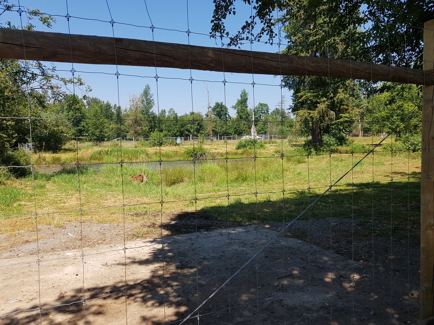Reindeer & Snow Goose Exhibit