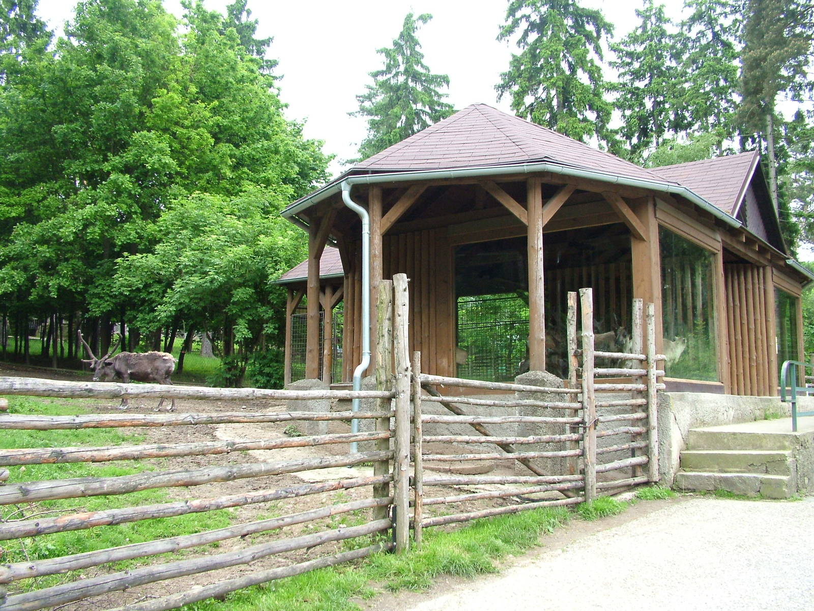 Reindeer stables at Olomouc 30/05/09