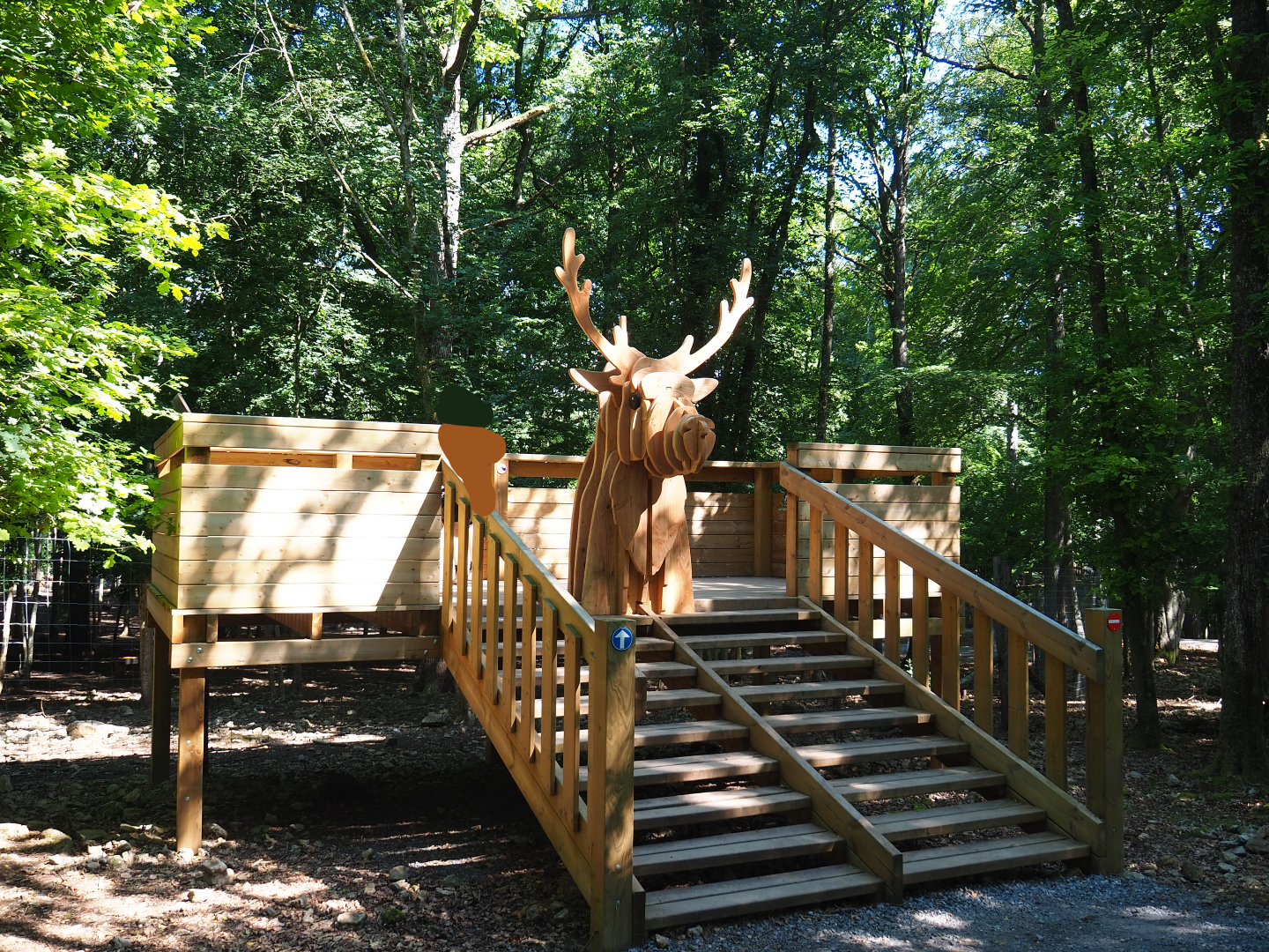 Reindeer viewing area, 2020-07-15