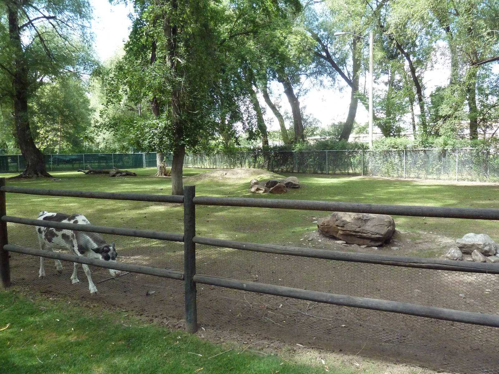 Reindeer/Wild Turkey Exhibit