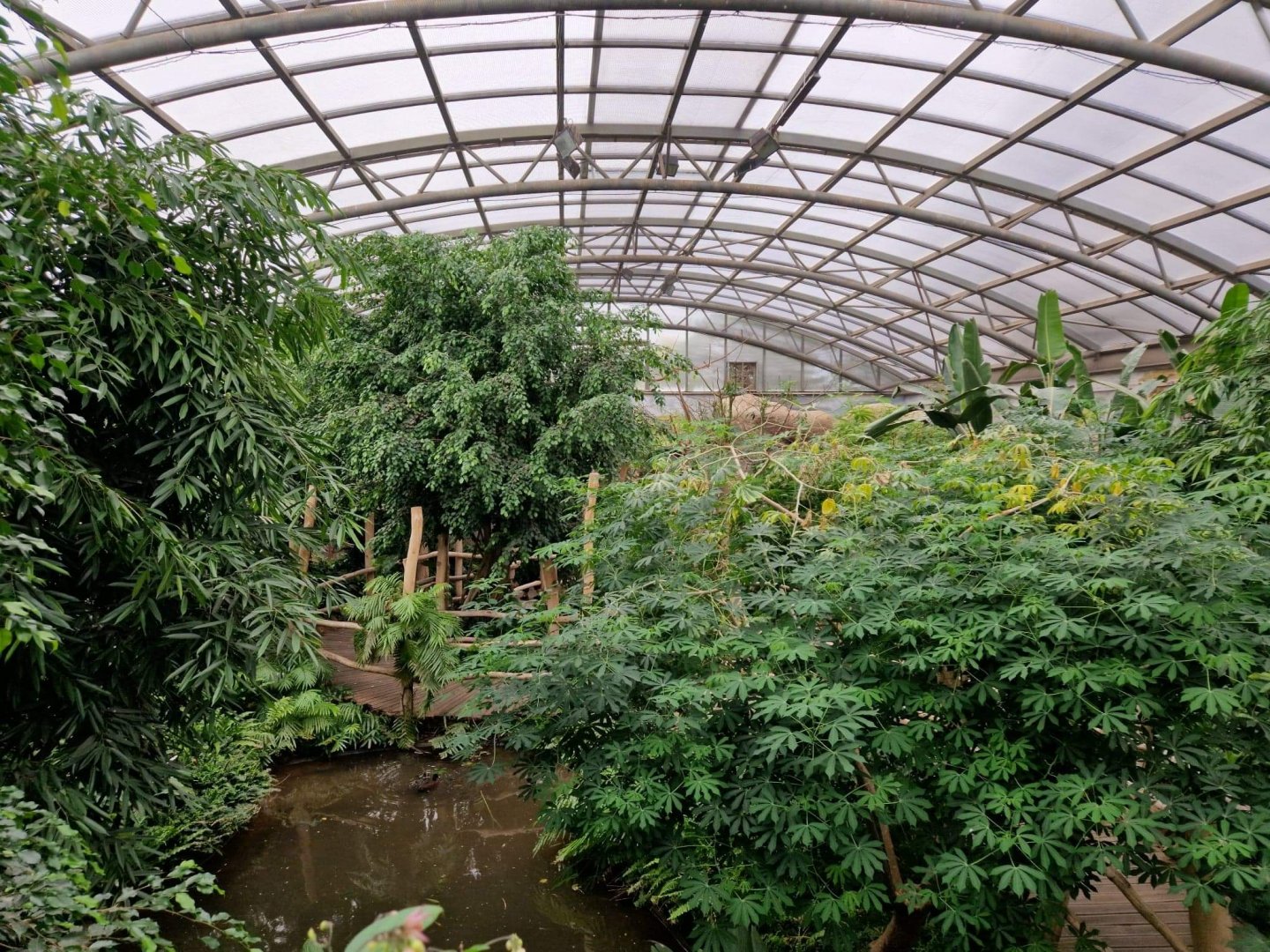 Reinforest hall, Bird house