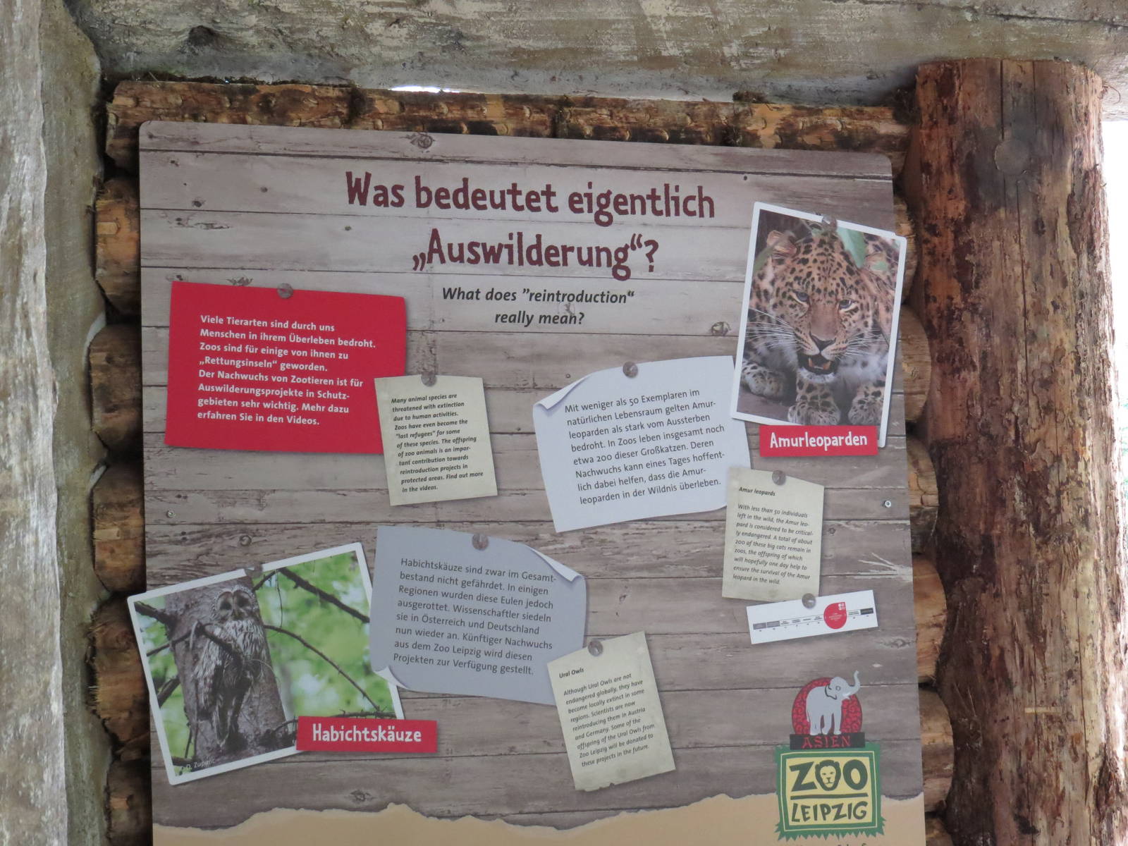 Reintroduction sign, April 2014.