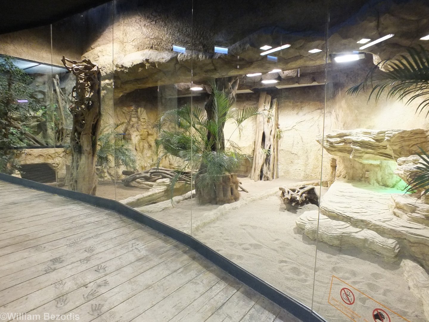 (Relatively New) Komodo Dragon Area- Wroclaw Zoo Terrarium