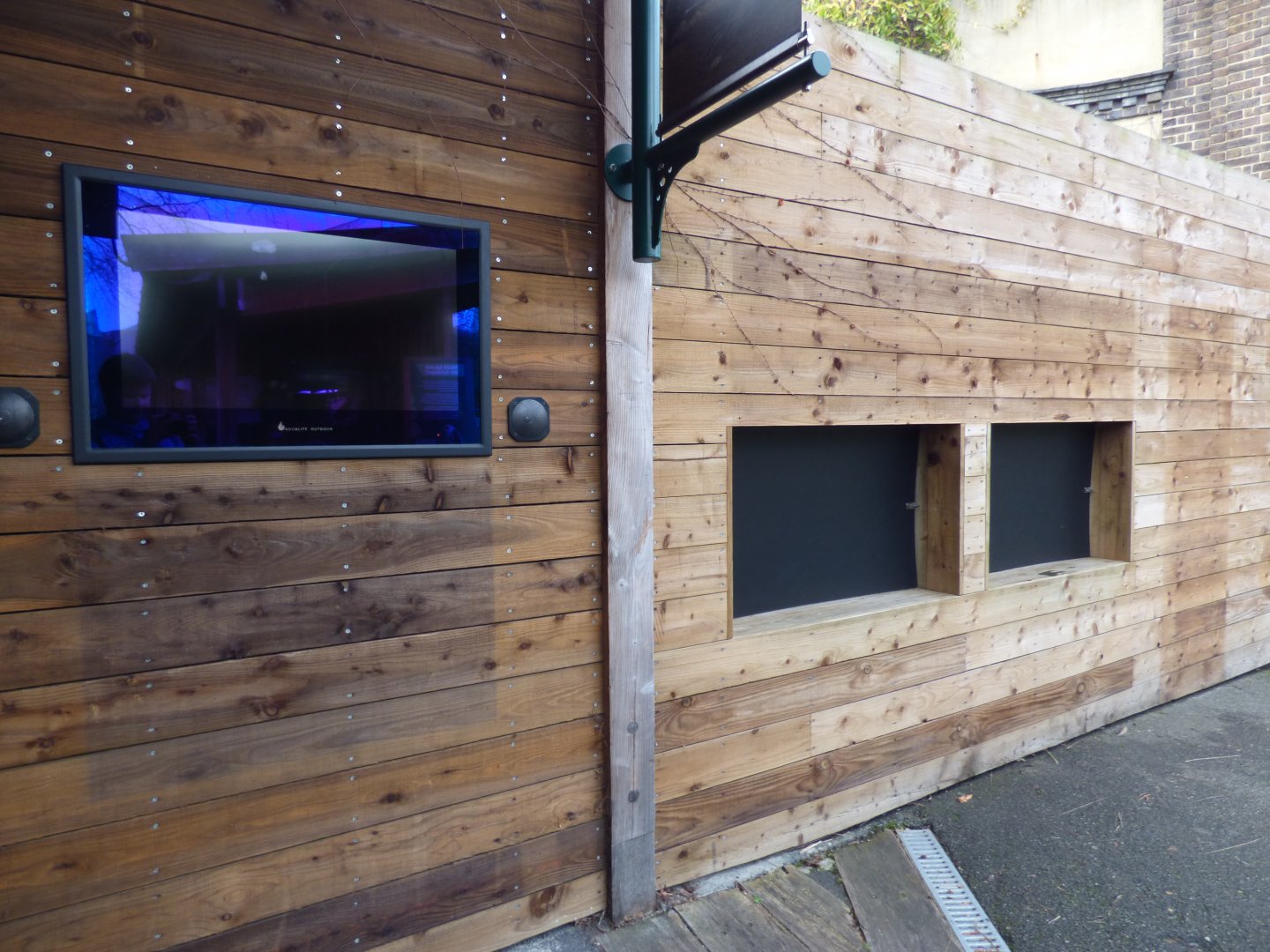 Remainders of Prefessor Wu (Chinese Giant Salamander)