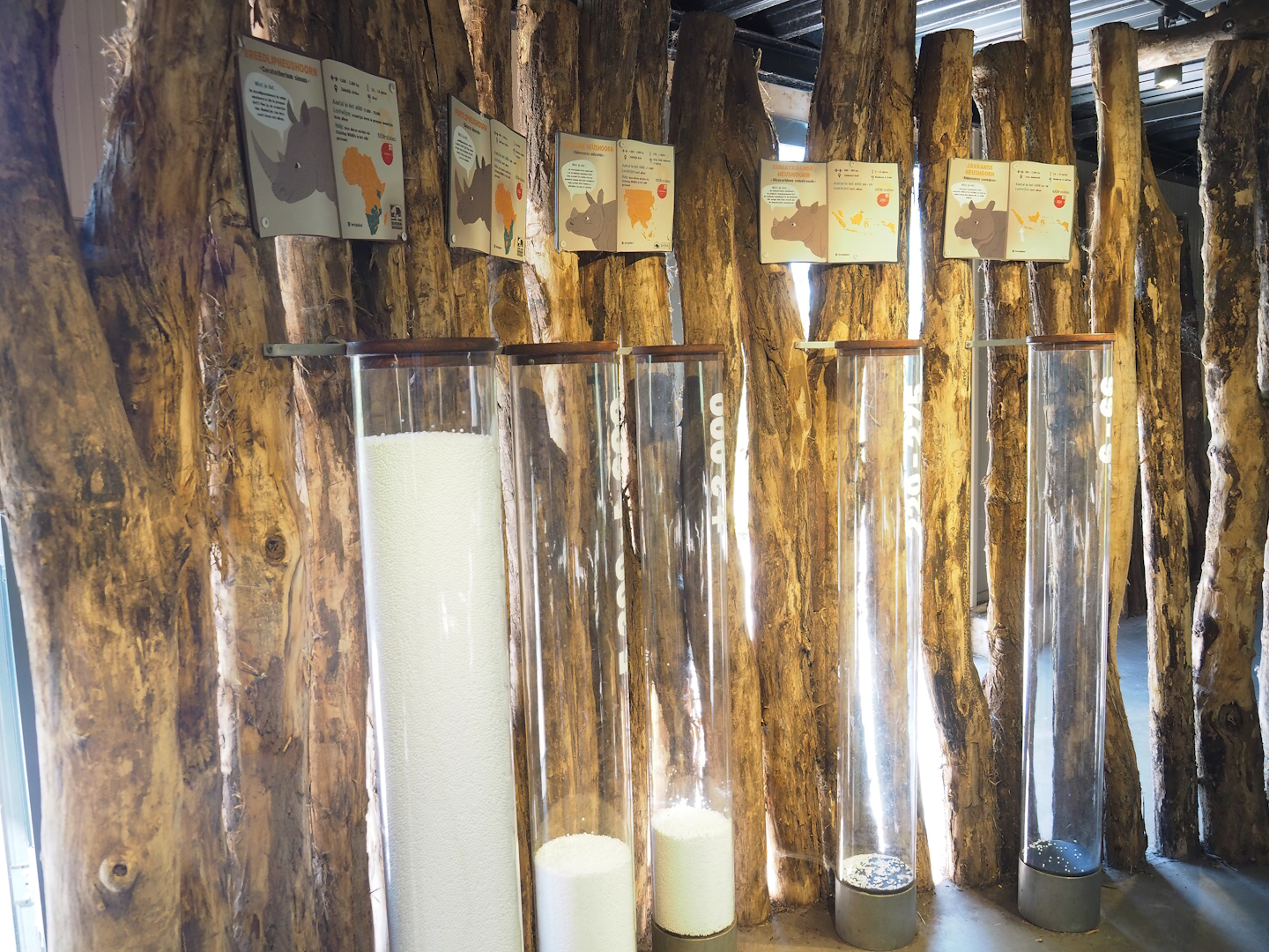 Remaining population numbers of five rhinoceros species display, 2023-04-30