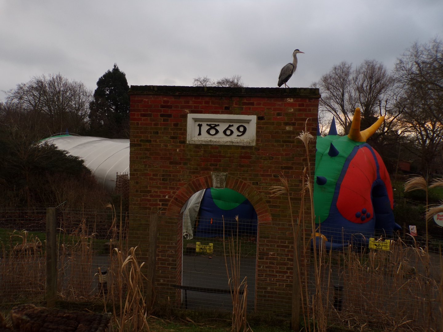 Remains of former Parrot House 11.2.25