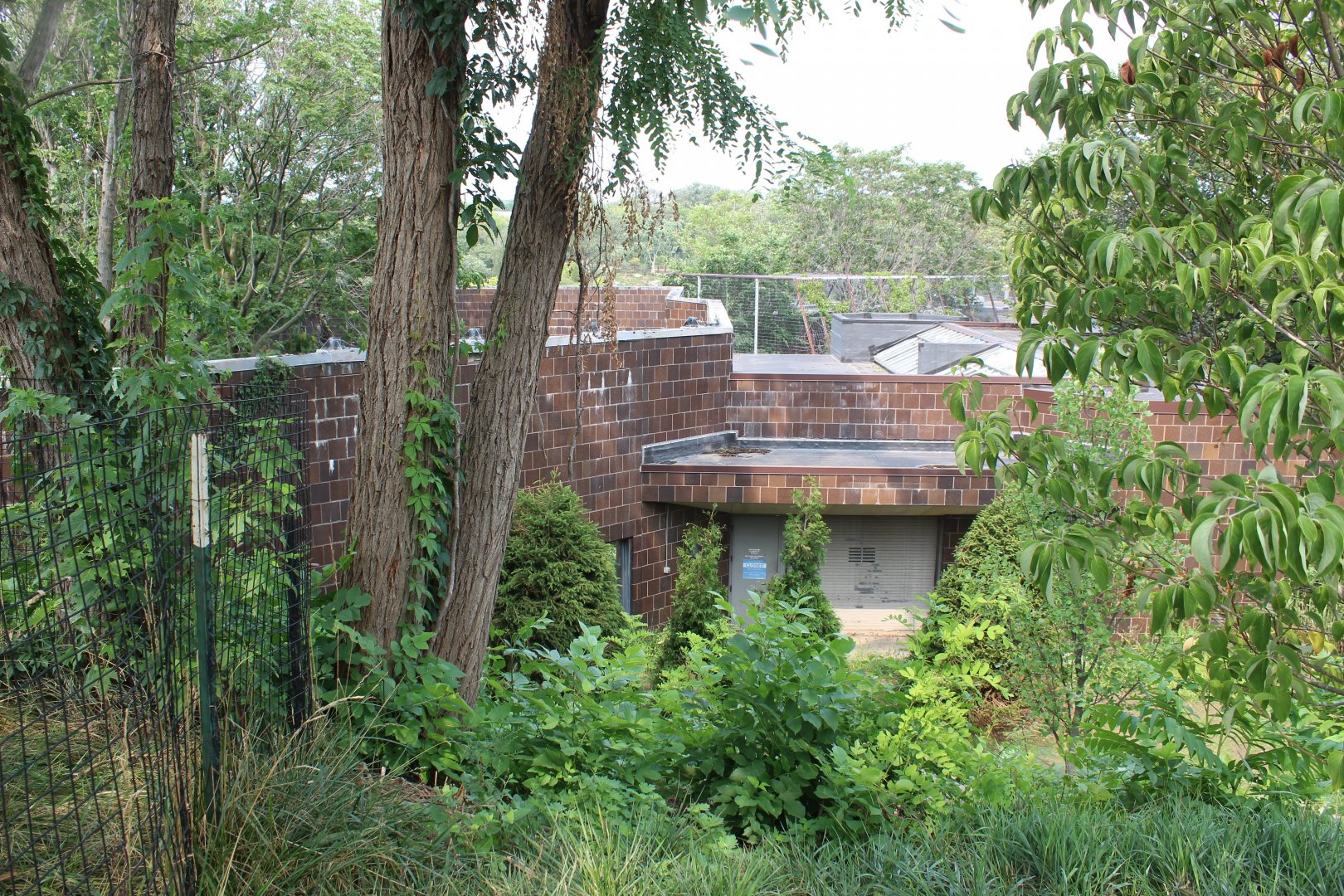 Remains of the Cat Complex (Soon to be Demolished)