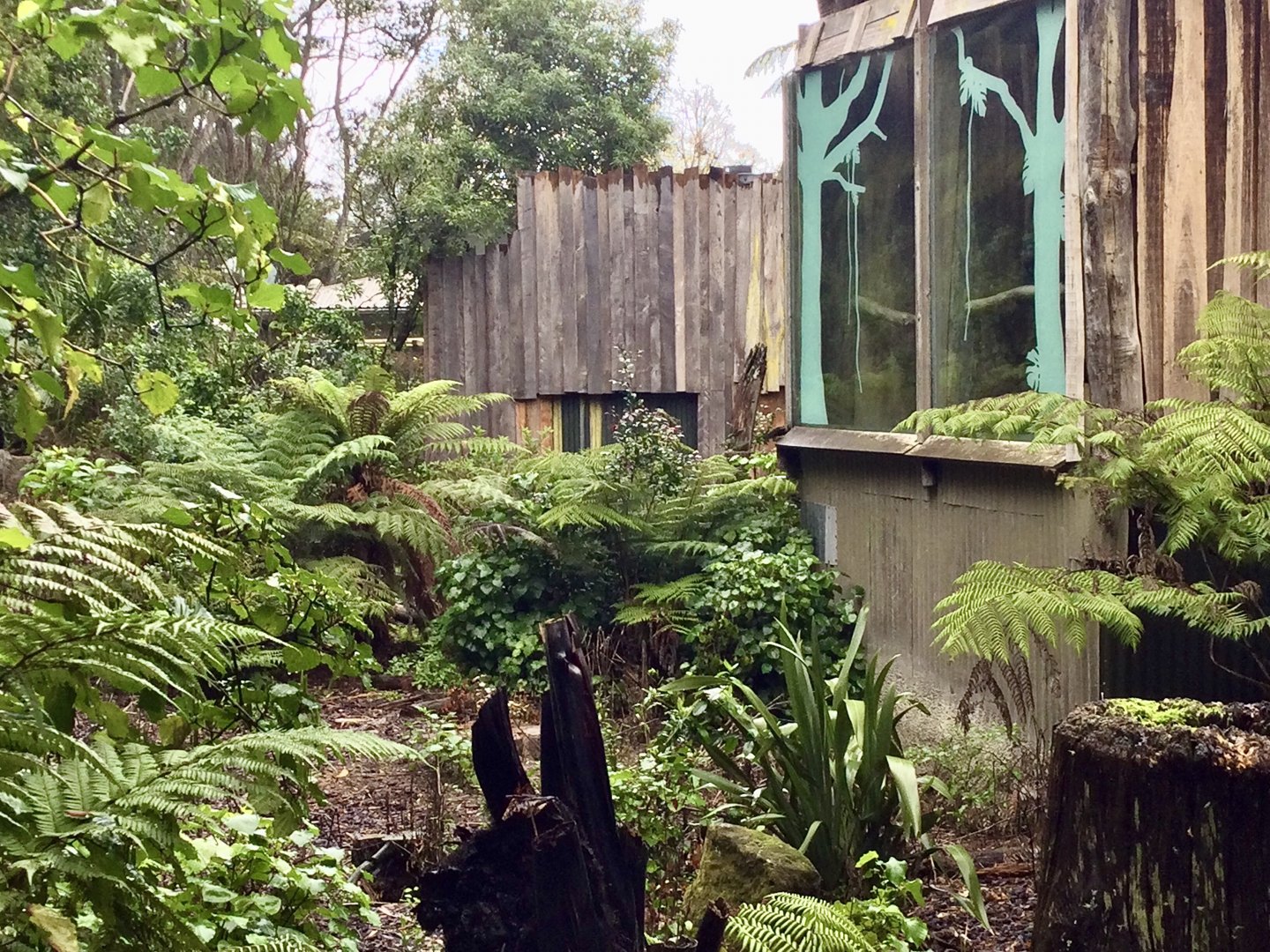 Remnants of Old Siamang Exhibit (1996-2020)
