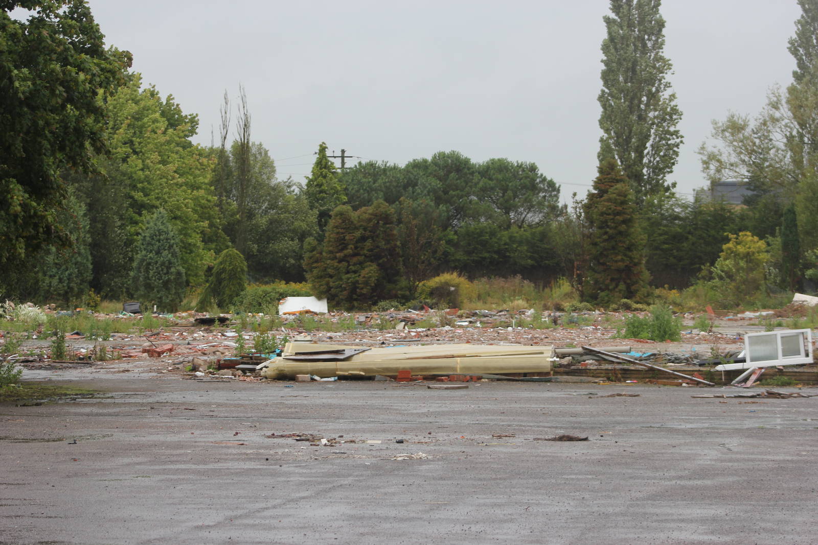 Remnants of the Palms