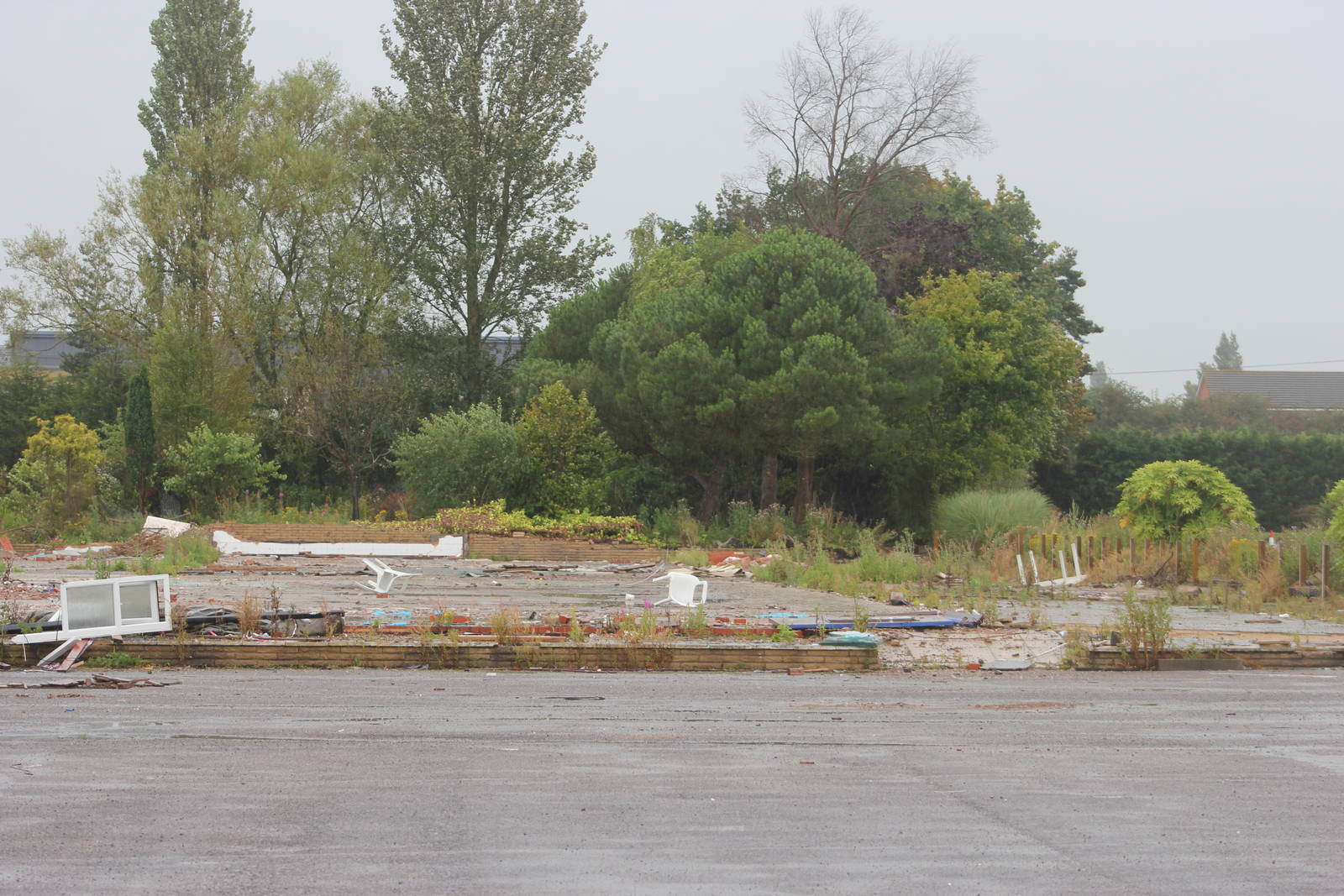 Remnants of the Palms