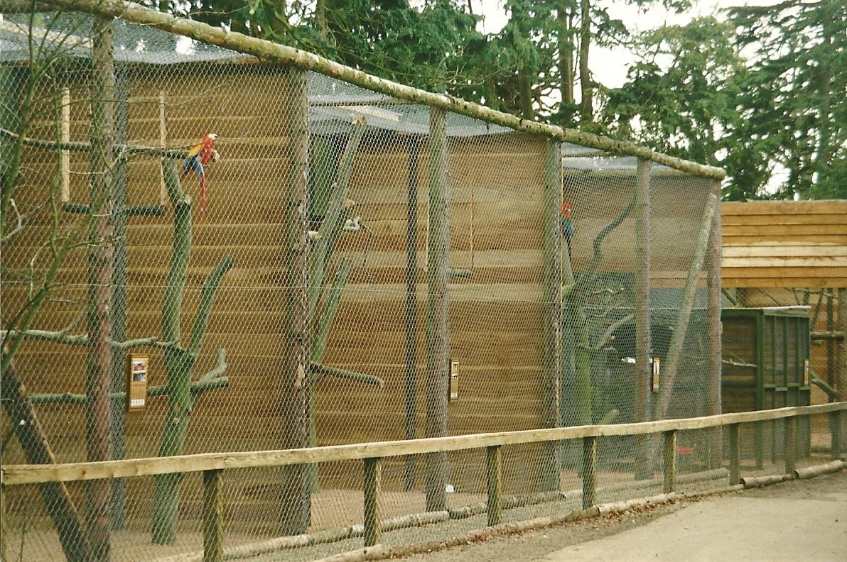 Remodelled Parrot aviaries 26th February 2000