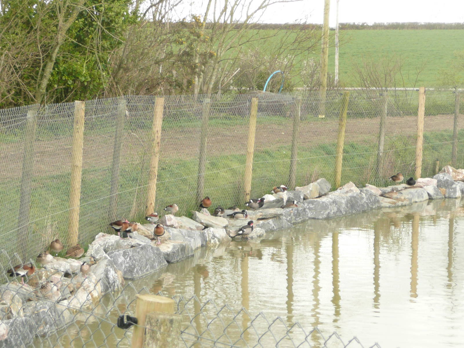 Remodelled Tapir Lake and Island