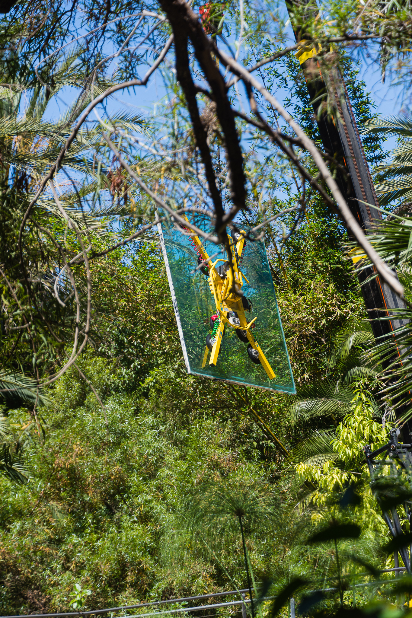 Removal of the glass panels at the hippo exhibit