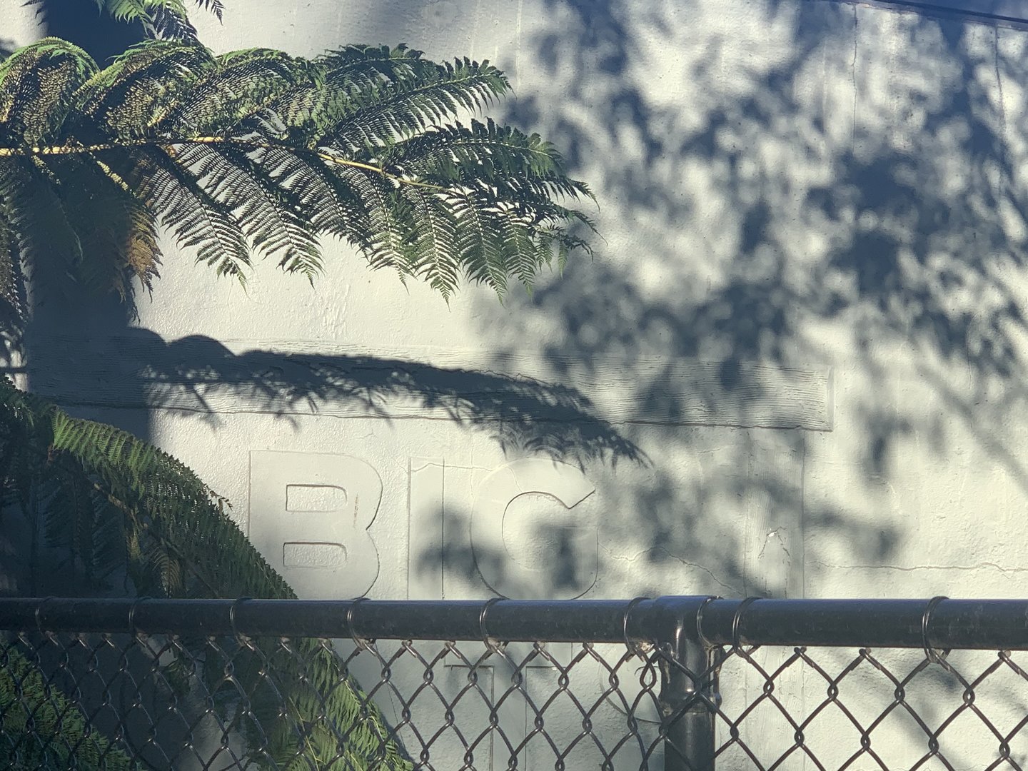 rendering on the western facade of Tassie Devil building still there after 50+ years (last Hallstrom era built structure)