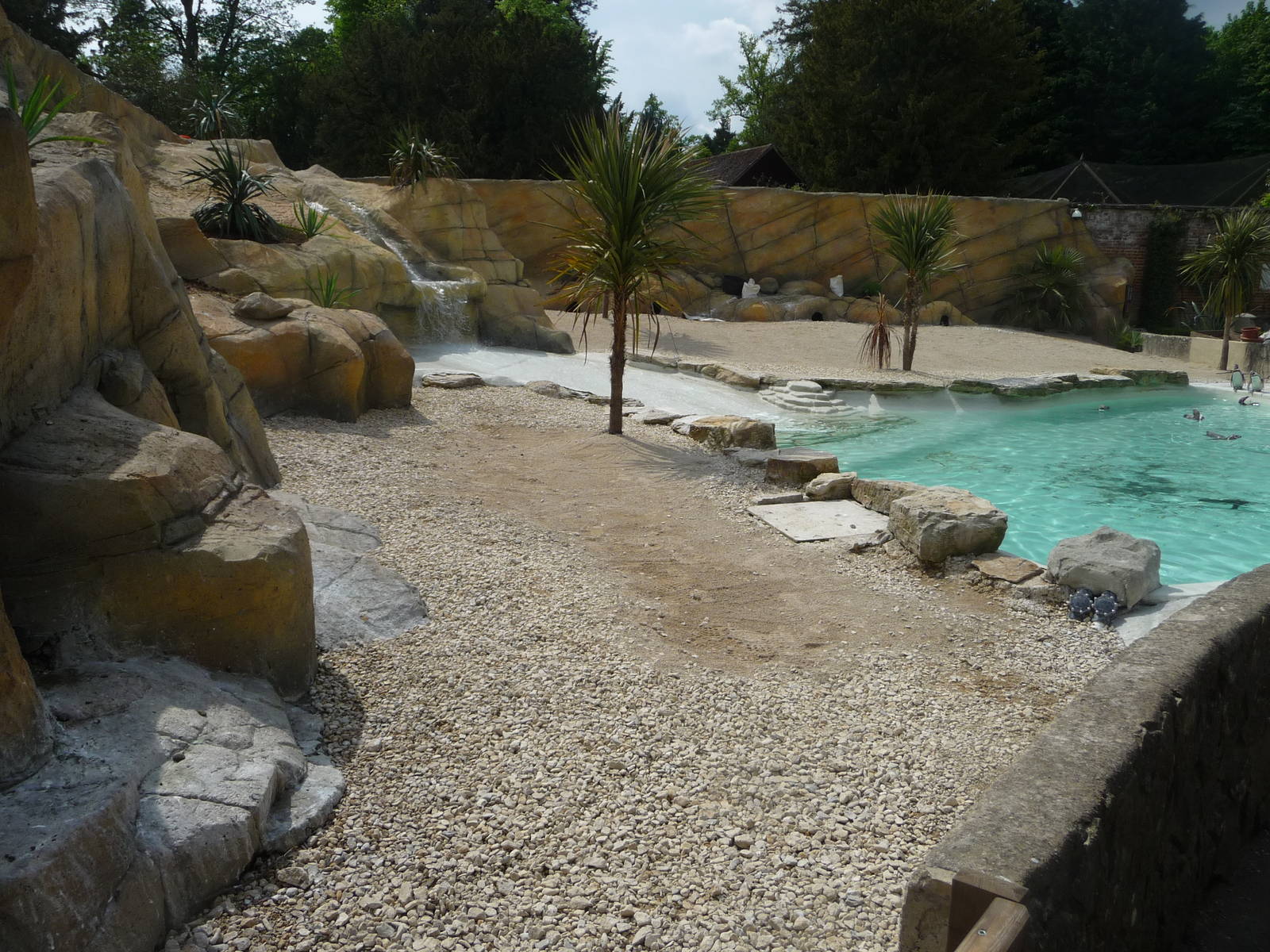 Rennovated Penguin pool at Cotswold WP