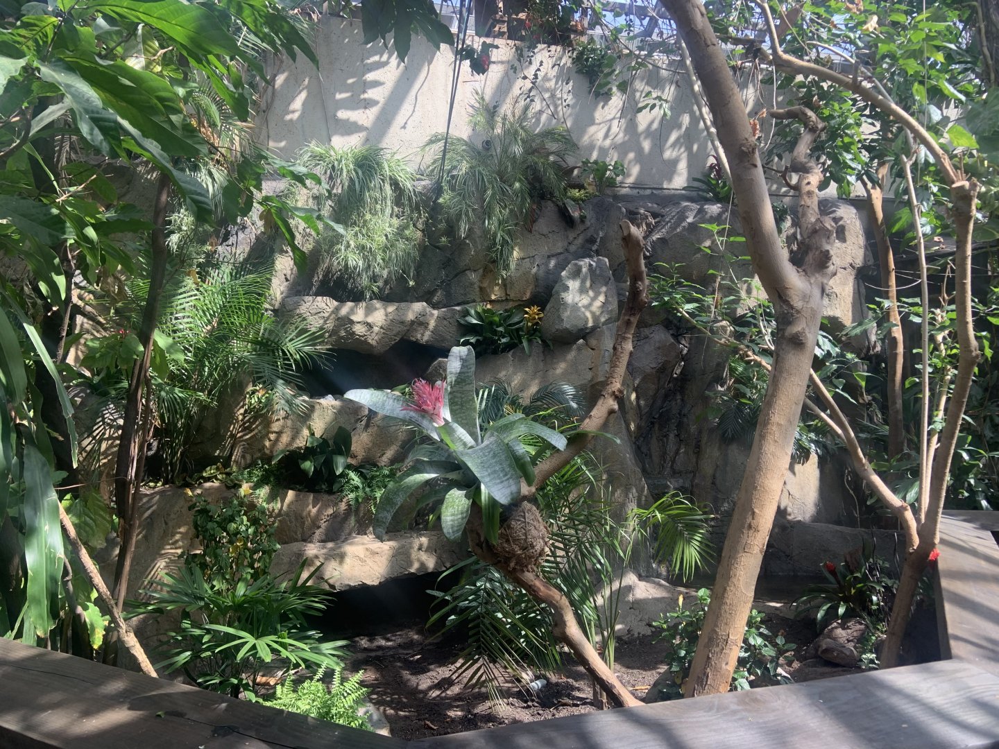 Renovated amazon gallery