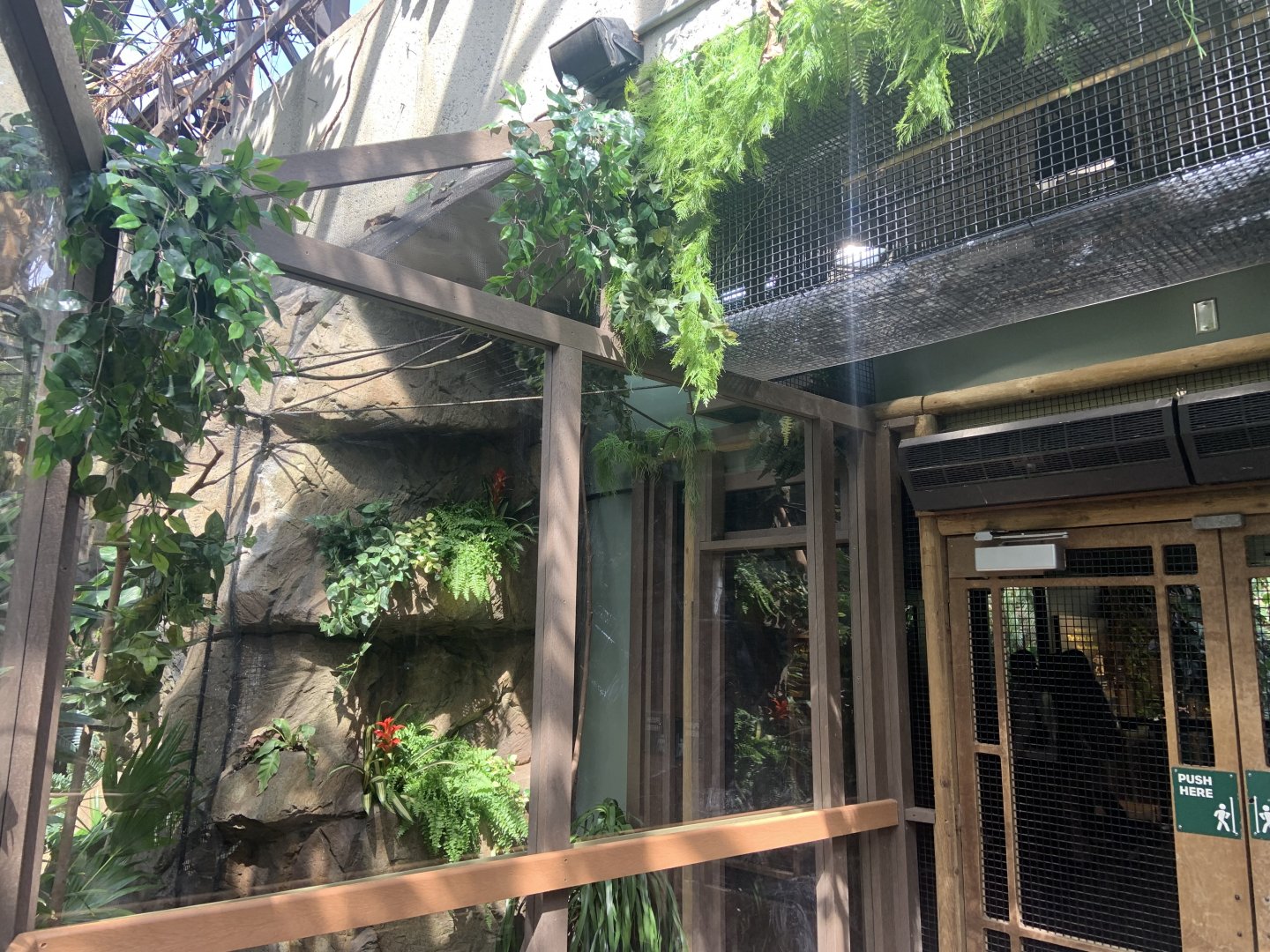 Renovated amazon gallery