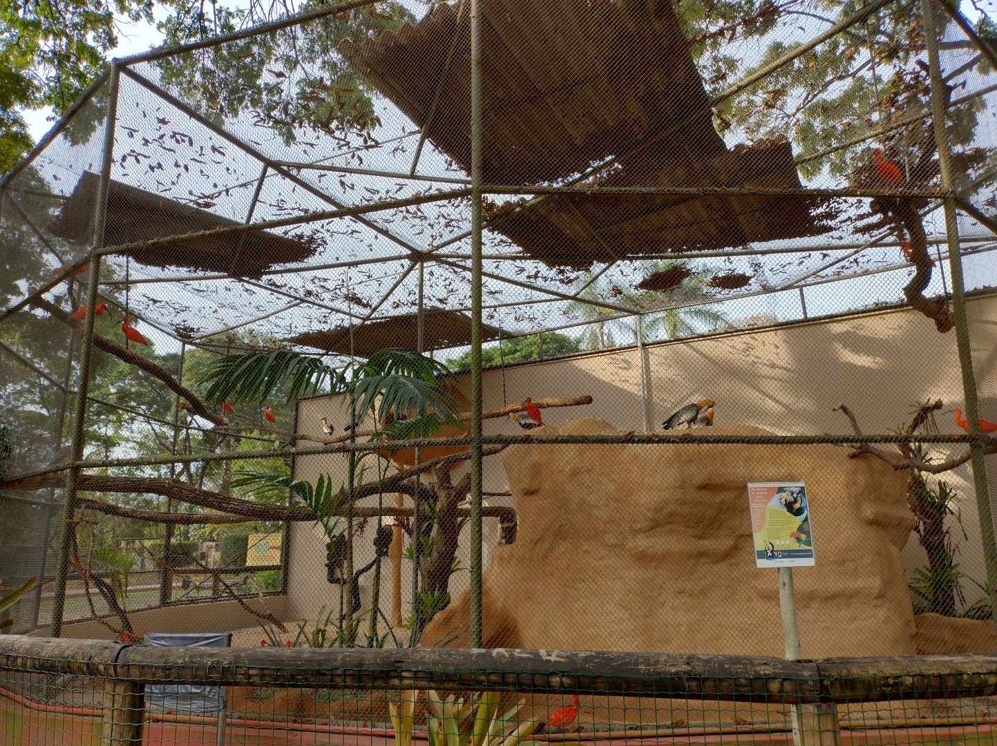 Renovated aviary - Belo Horizonte zoo