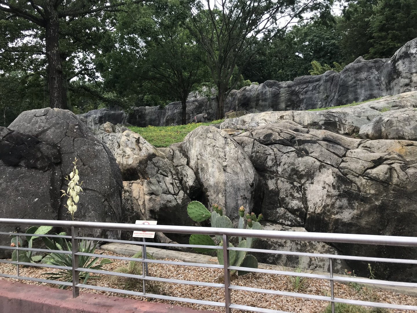 Renovated Baboon Habitat View