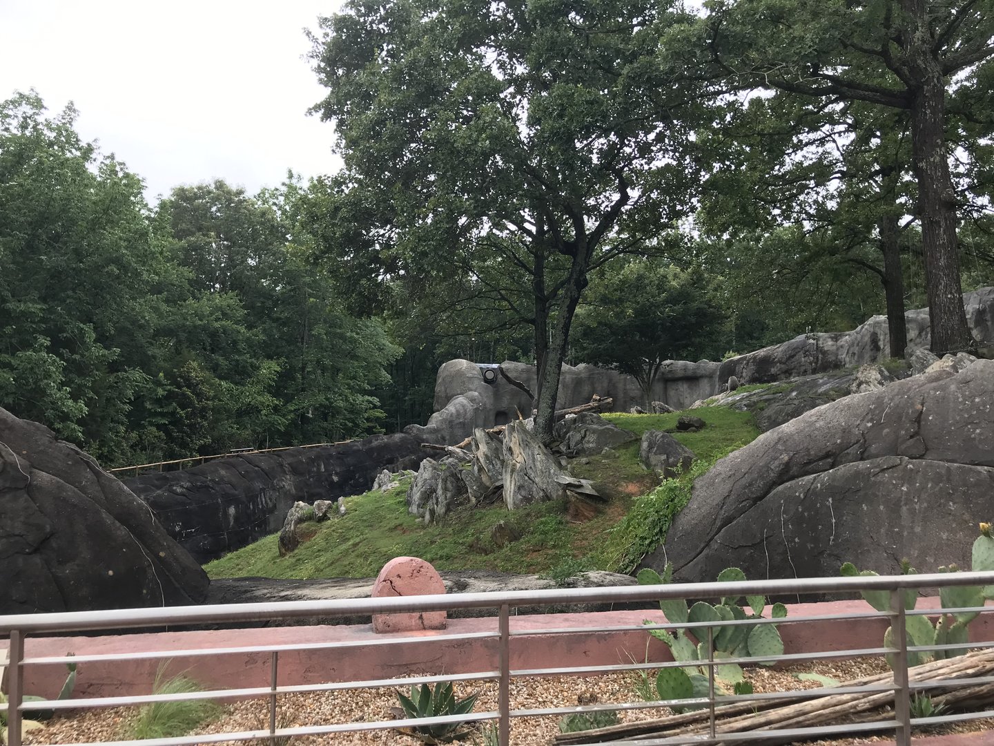 Renovated Baboon Habitat View