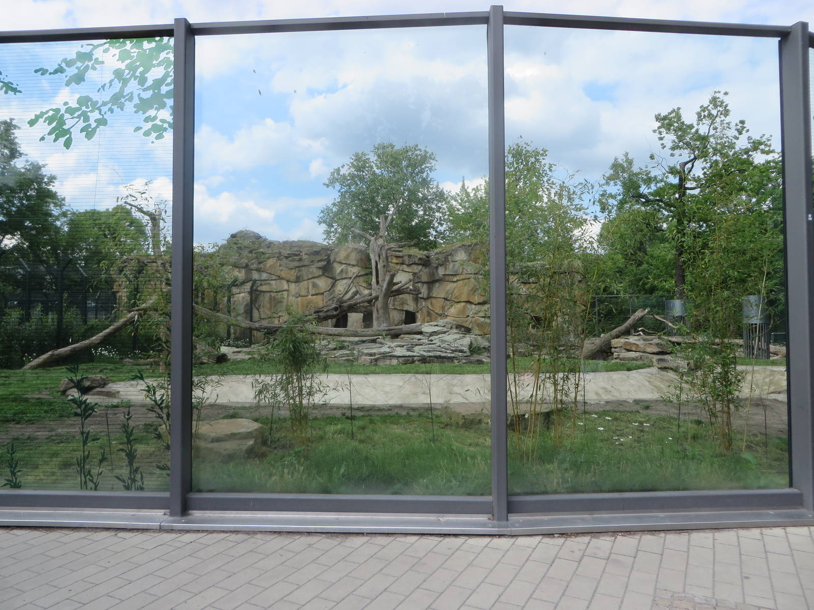 Renovated bear enclosure