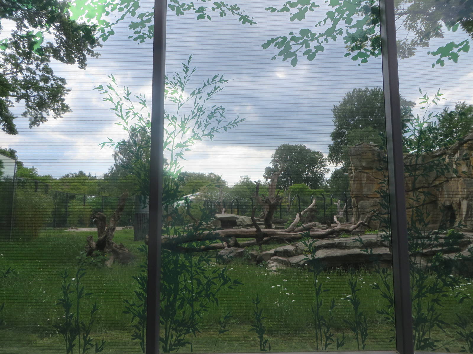 Renovated bear enclosure