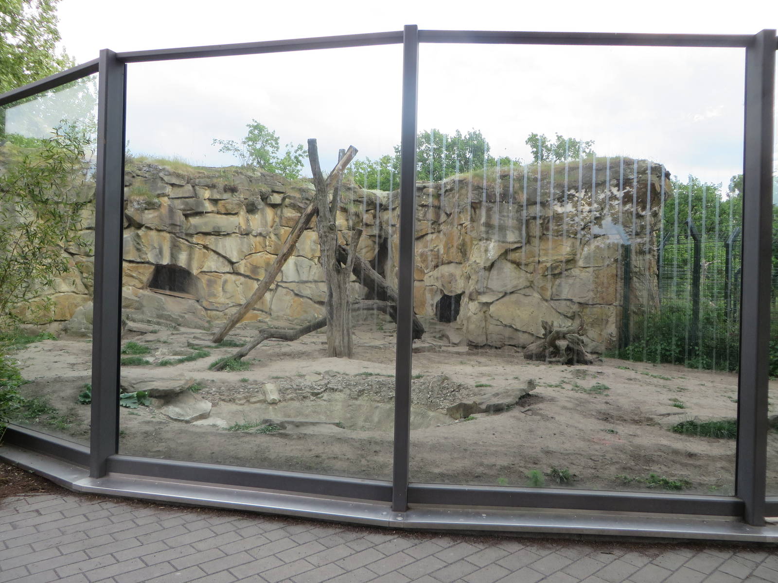 Renovated bear enclosure