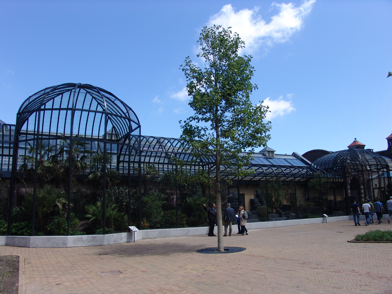 Renovated Bird-House 1