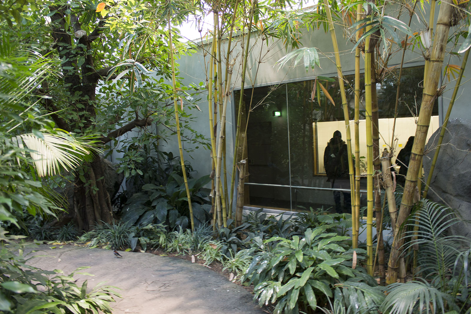 Renovated bird house, 12/28/14