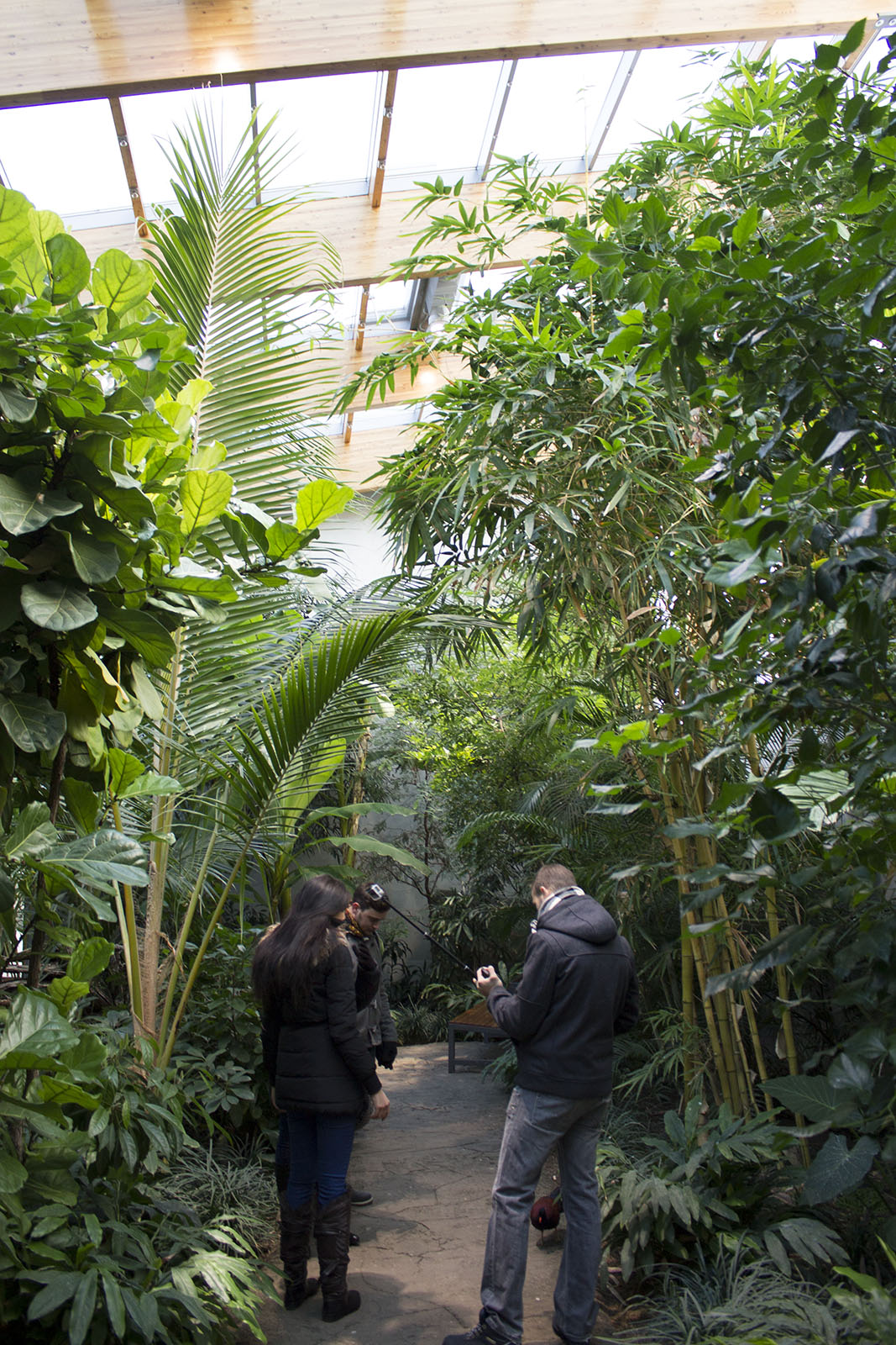 Renovated bird house, 12/28/14