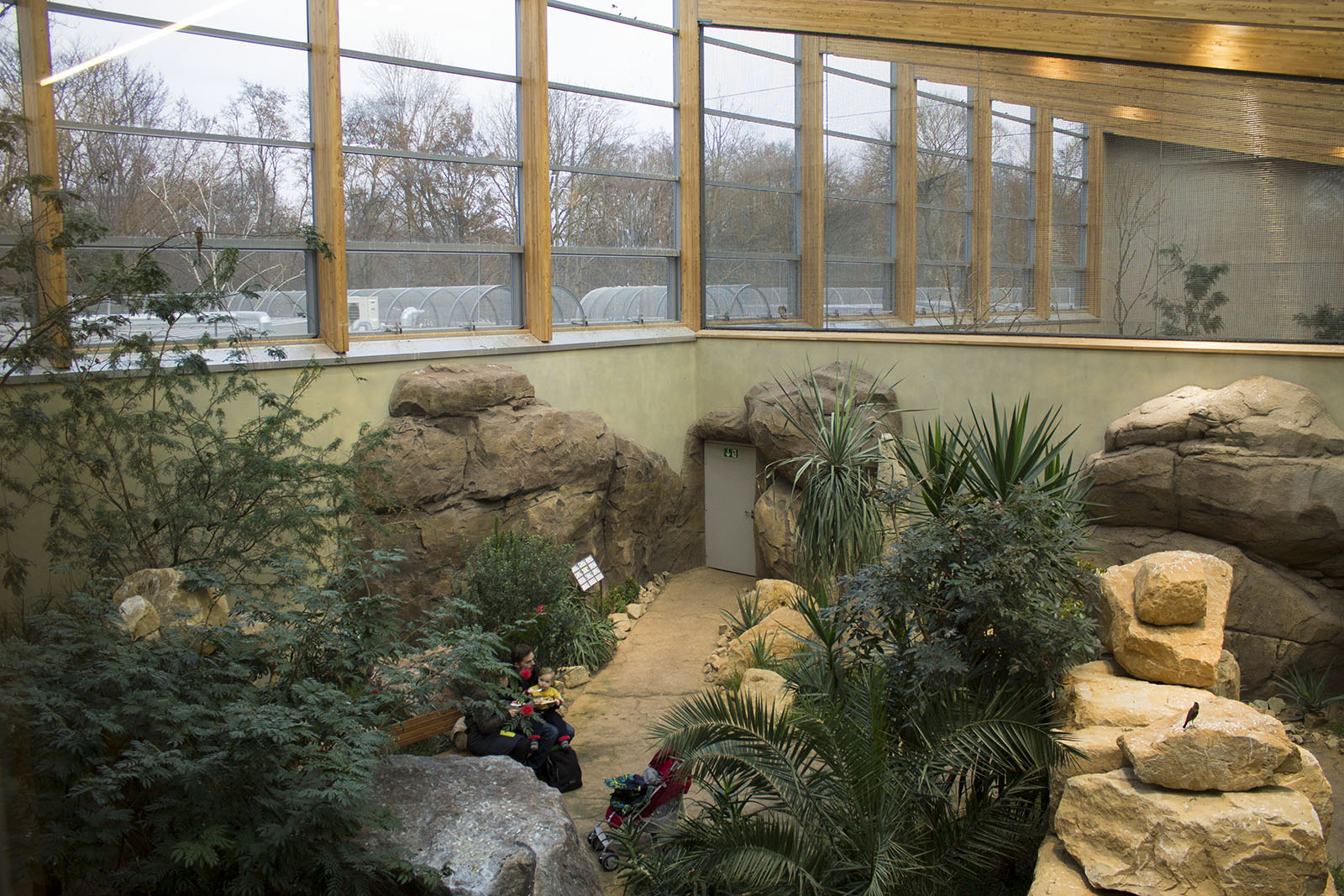 Renovated bird house, 12/28/14