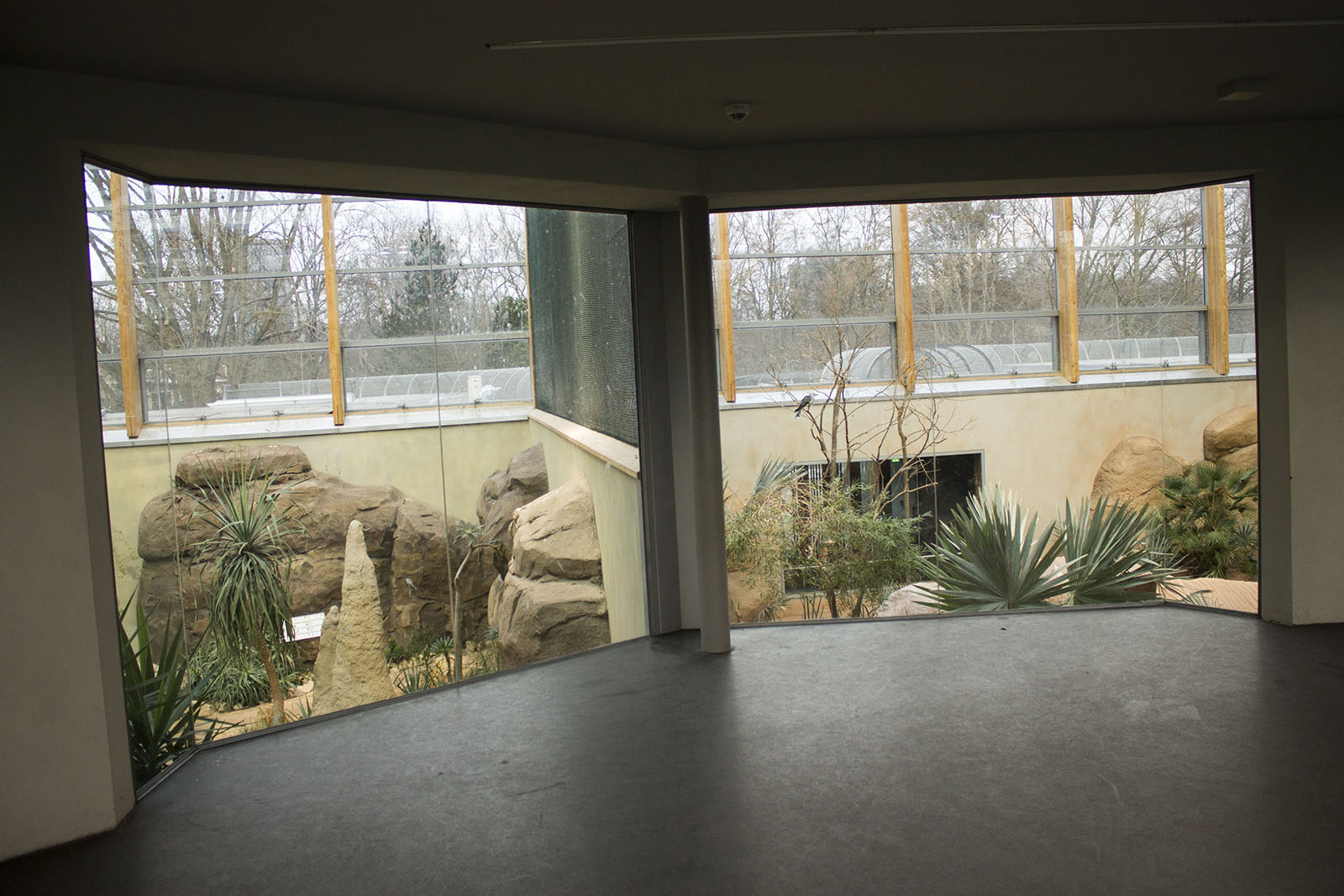 Renovated bird house, 12/28/14