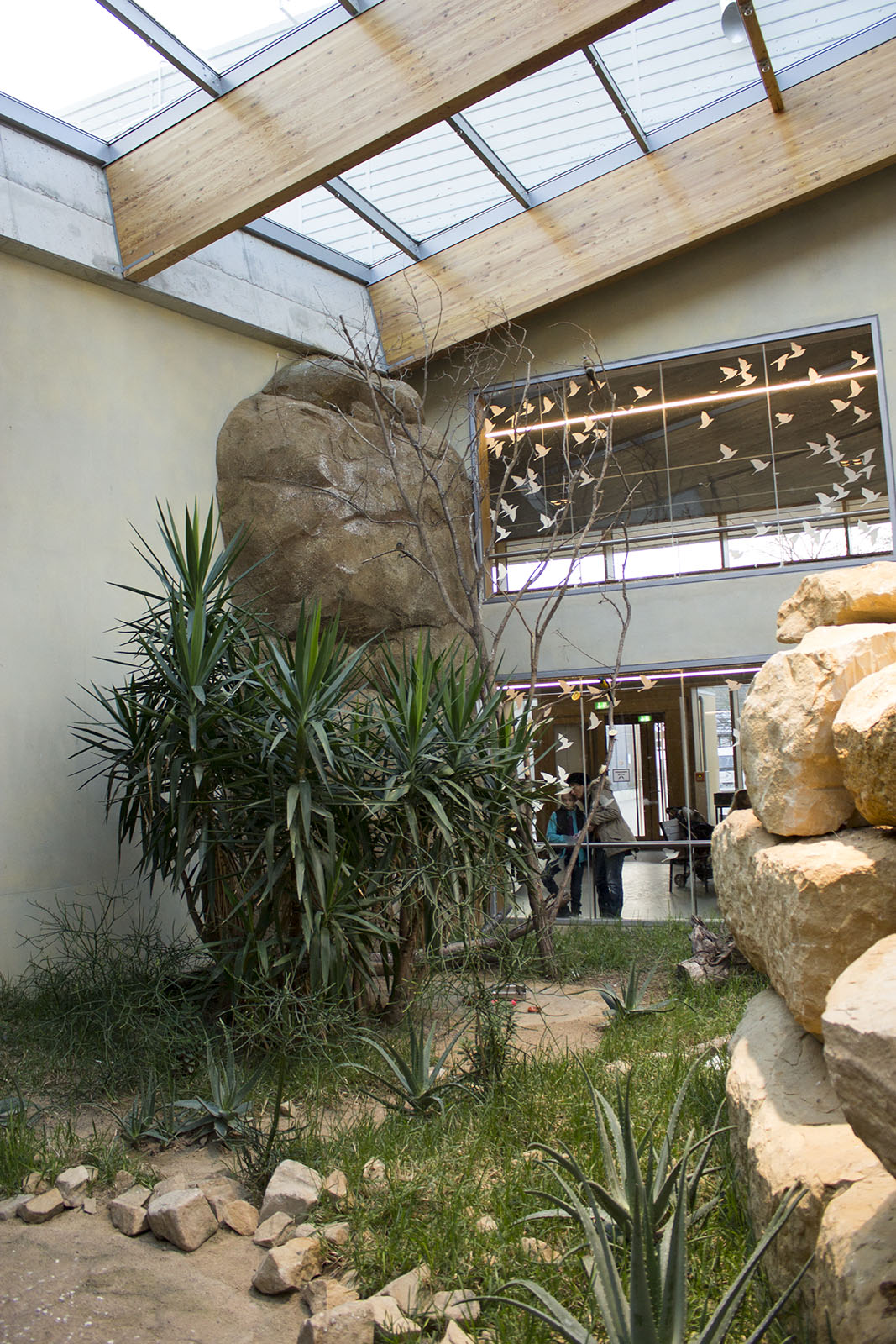 Renovated bird house, 12/28/14