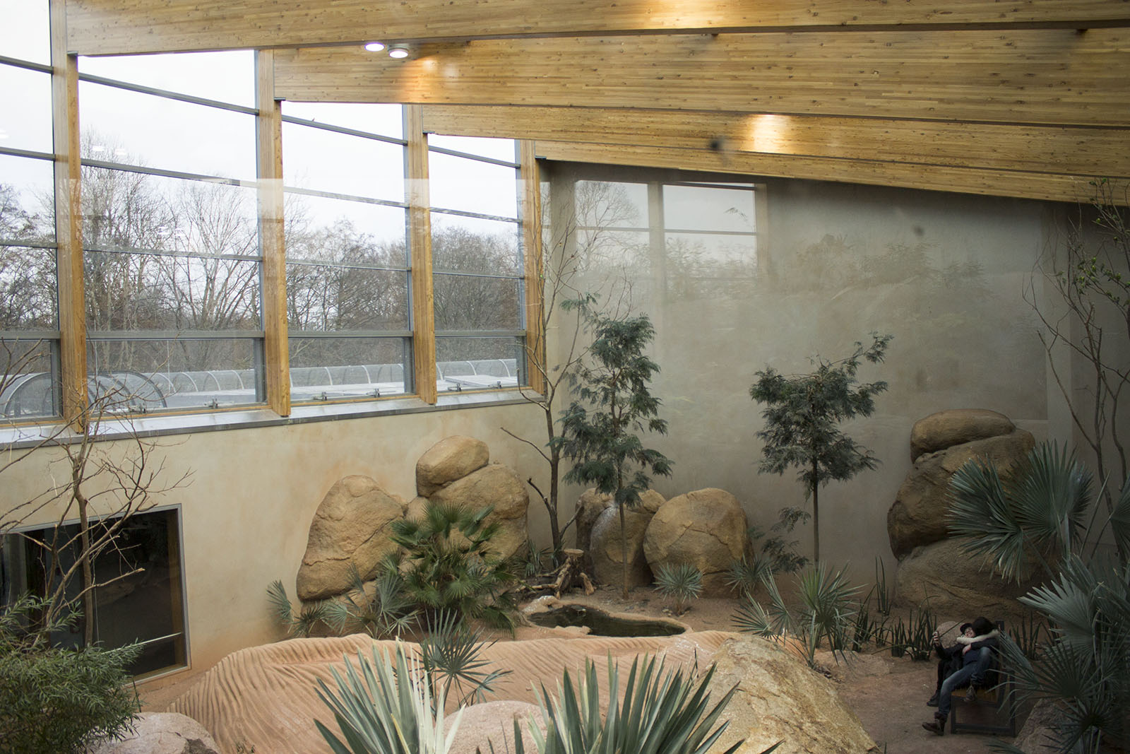 Renovated bird house, 12/28/14