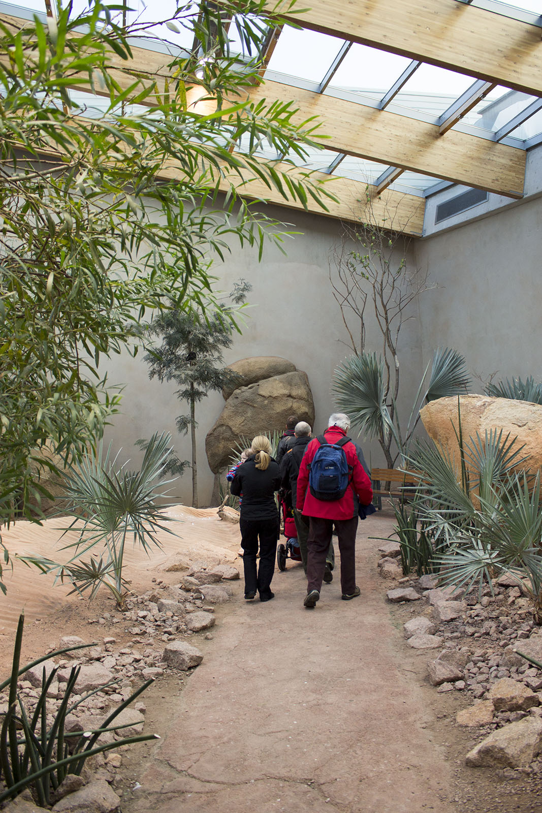 Renovated bird house, 12/28/14