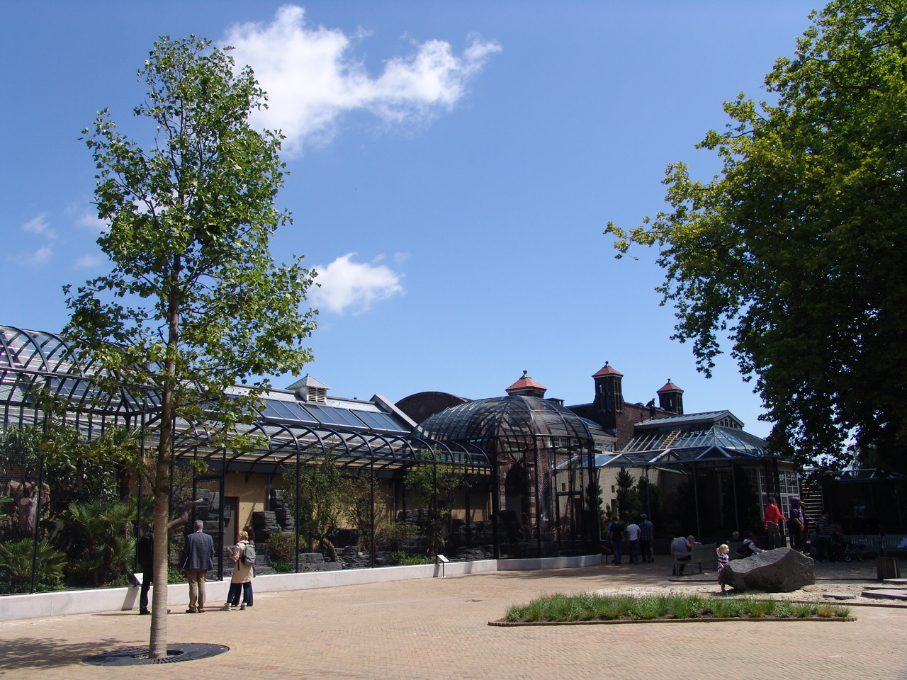 Renovated Bird-House 2