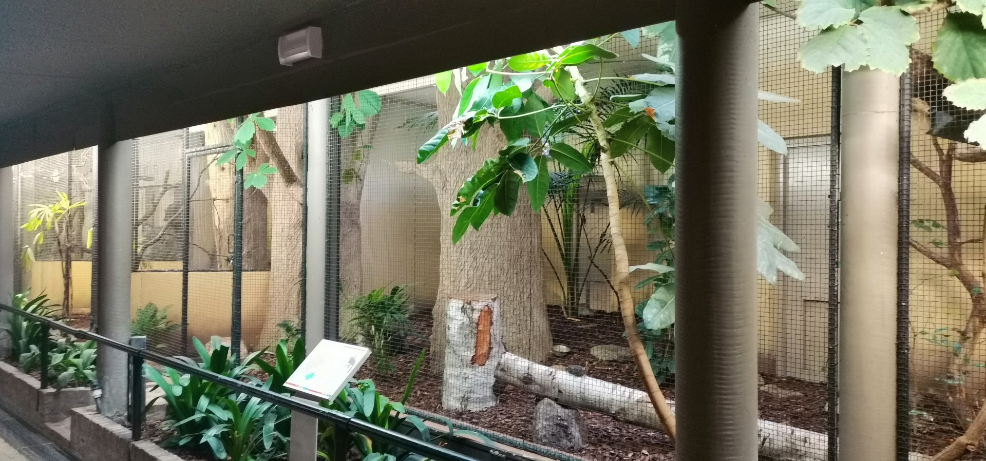 Renovated Bird House