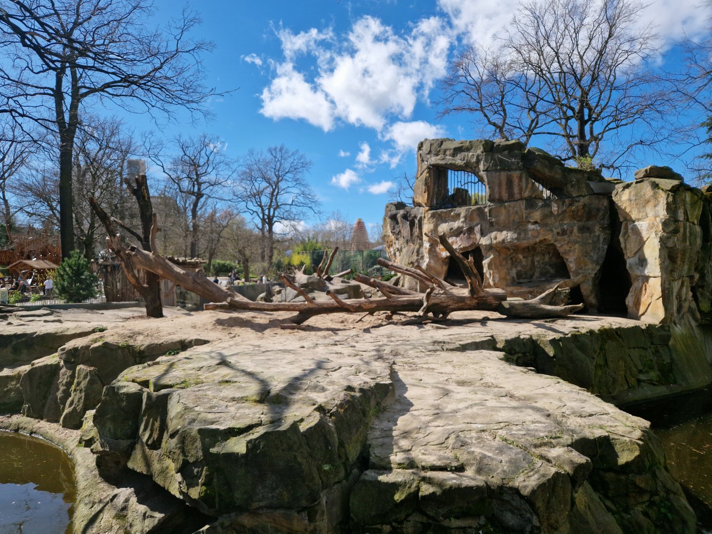 Renovated Brown Bear exhibit