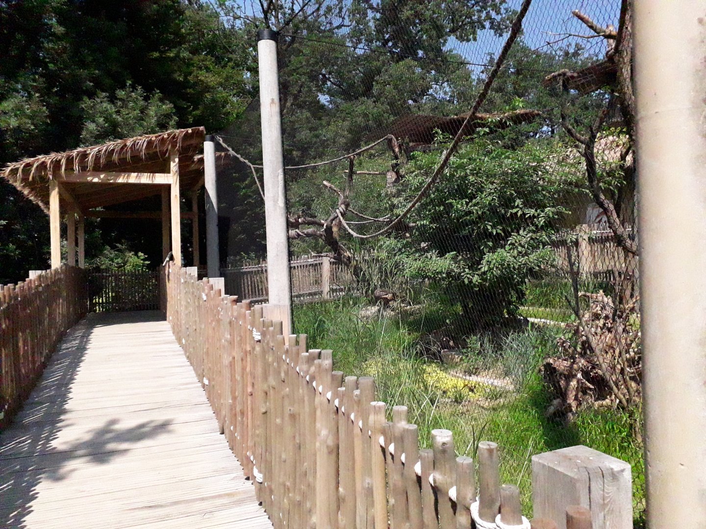 renovated canopy on the south american exhibit