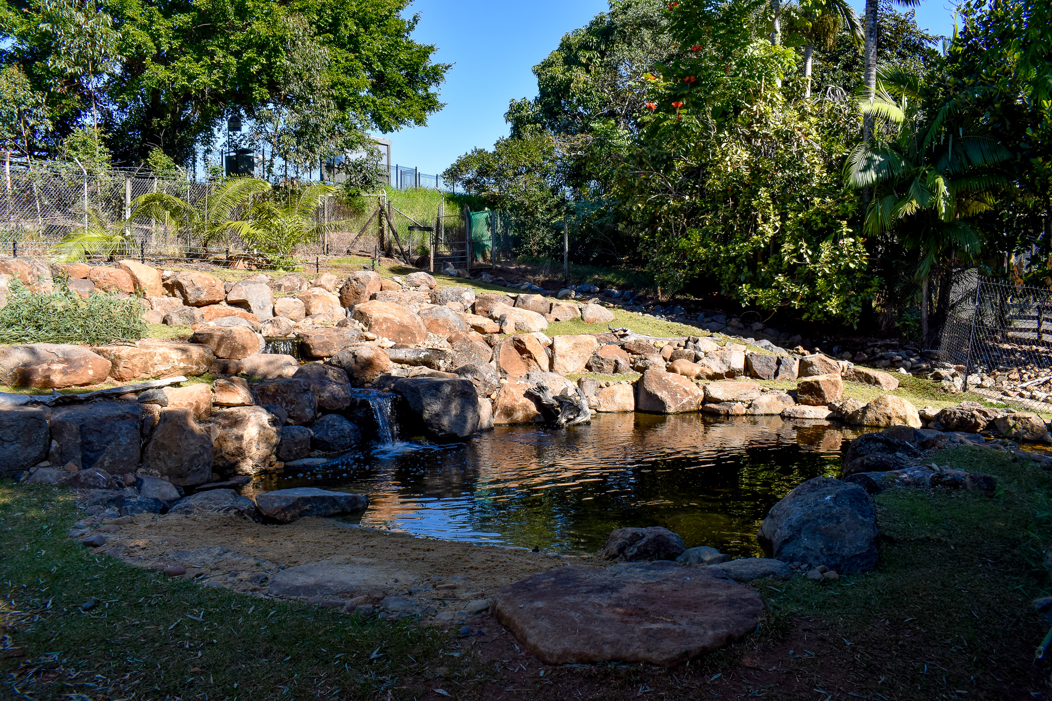 Renovated Capybara Enclosure