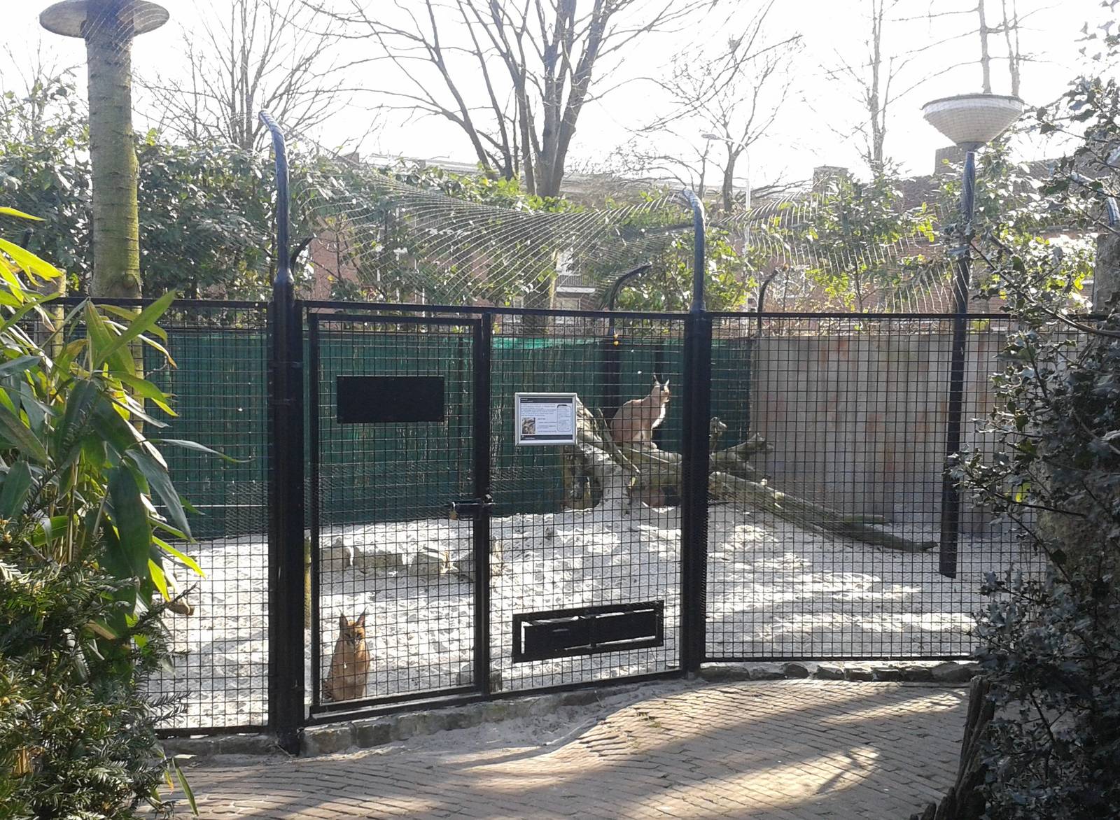 renovated caracal-enclosure