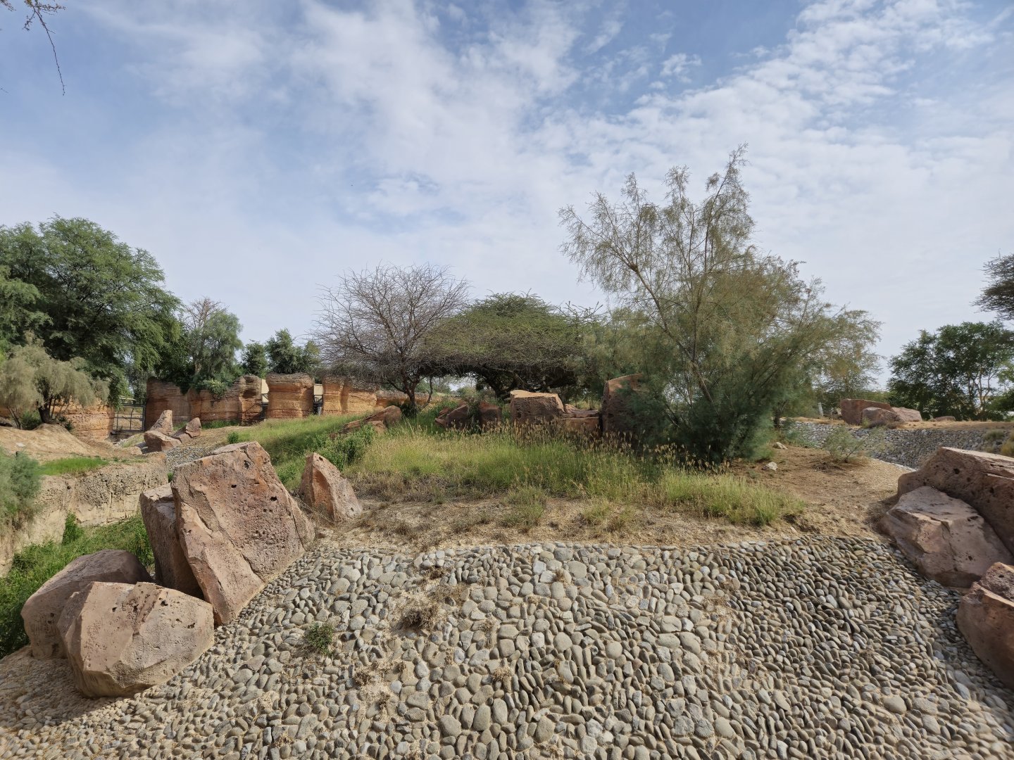 Renovated Carnivore area