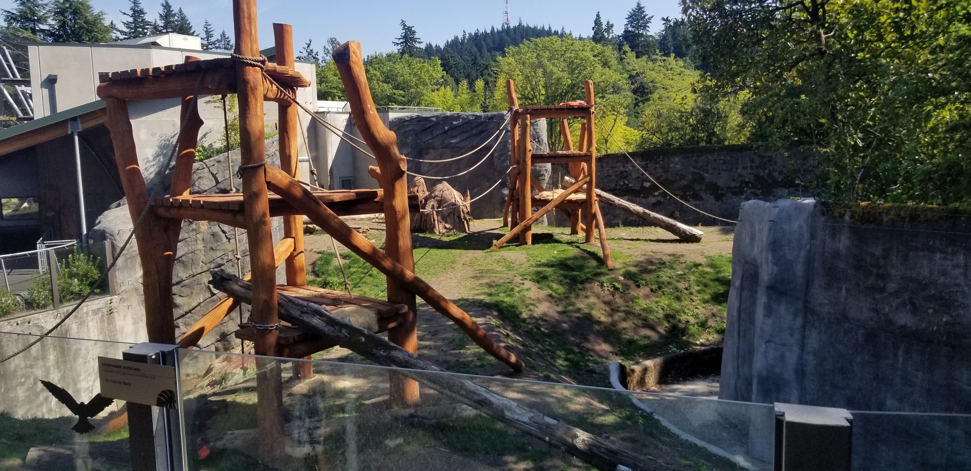 Renovated Chimp Exhibit