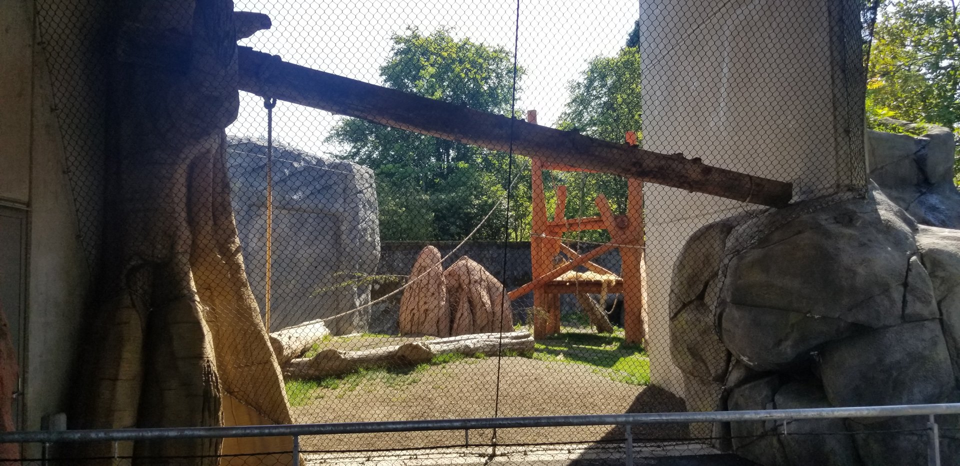Renovated Chimp Exhibit