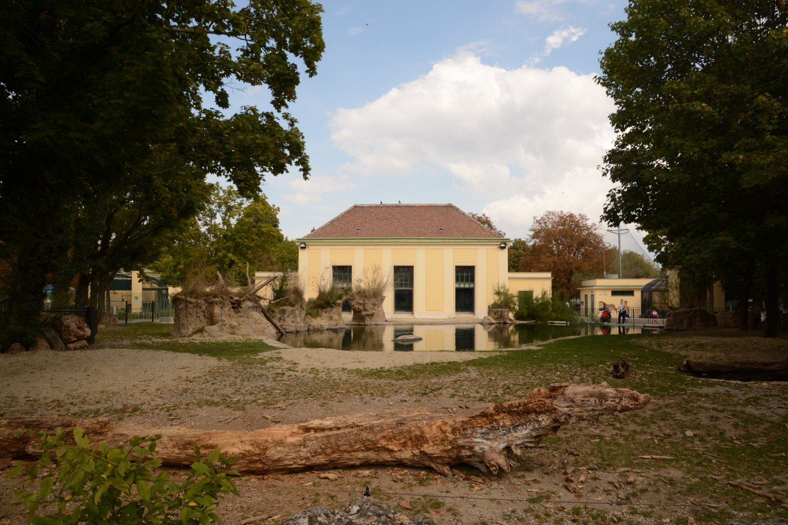 renovated Common Hippo enclosure