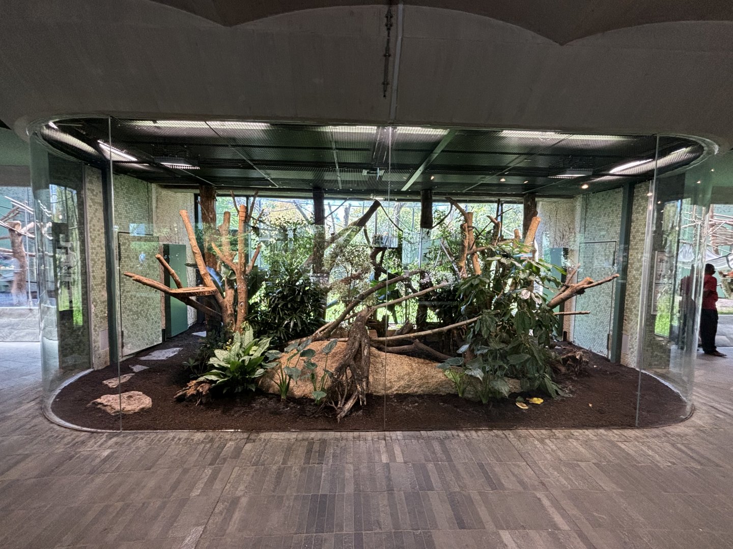 Renovated Cotton-Top Tamarin+Three-Banded Armadillo Enclosure