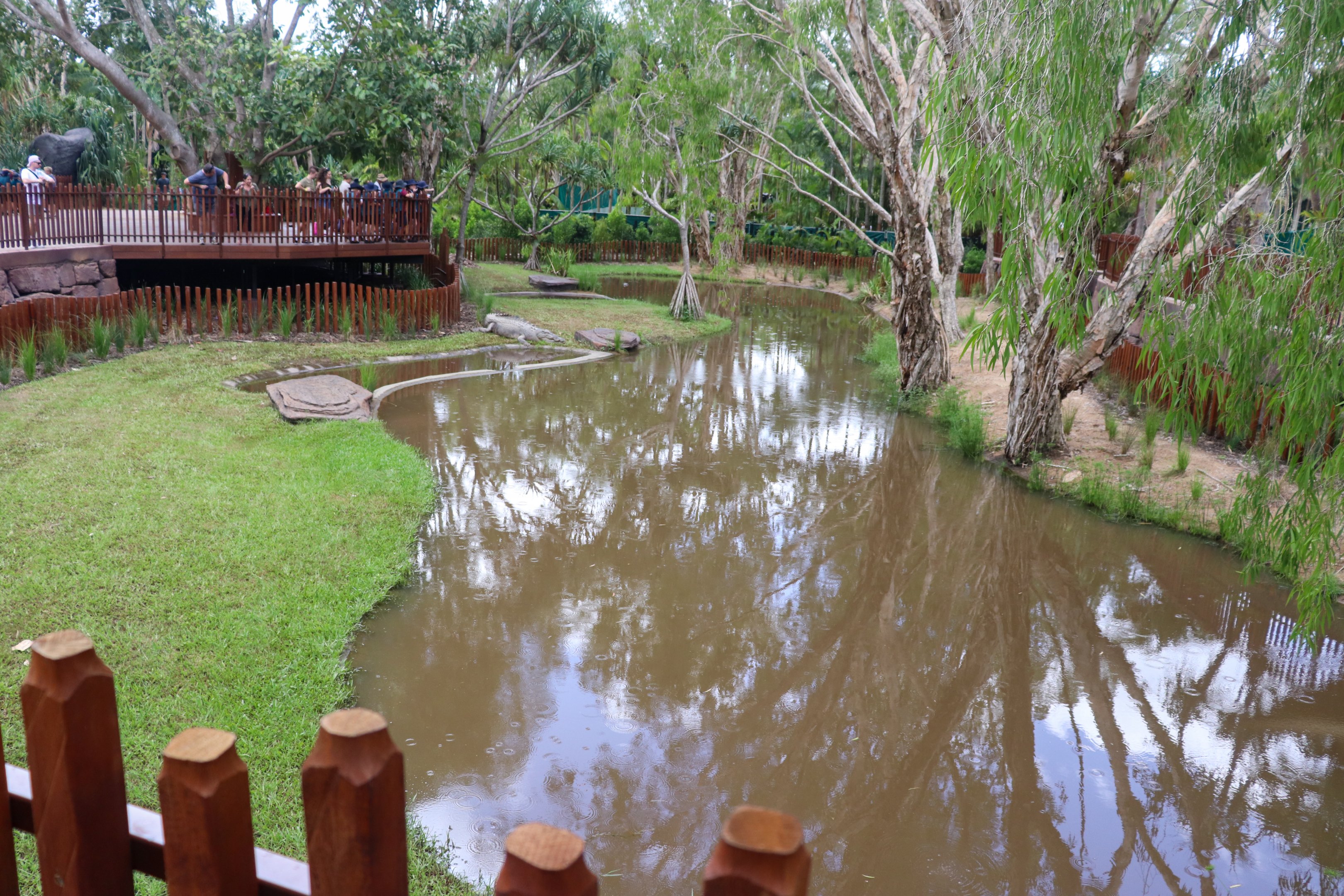 Renovated Crocodile Environmental Park (Opened 2020) - First Saltwater Crocodile Enclosure
